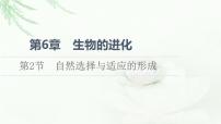 2021學(xué)年第2節(jié) 自然選擇與適應(yīng)的形成課文內(nèi)容課件ppt