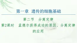 苏教版高中生物必修2第1章第2节第2课时孟德尔获得成功的原因、分离定律的应用课件