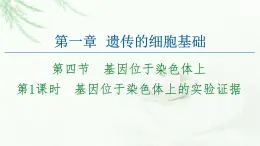 苏教版高中生物必修2第1章第4节第1课时基因位于染色体上的实验证据课件