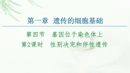 苏教版高中生物必修2第1章第4节第2课时性别决定和伴性遗传课件