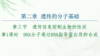 苏教版 (2019)必修2《遗传与进化》DNA分子通过RNA指导蛋白质的合成多媒体教学ppt课件