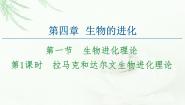 高中生物苏教版 (2019)必修2《遗传与进化》达尔文生物进化理论备课ppt课件