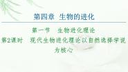 高中生物苏教版 (2019)必修2《遗传与进化》现代生物进化理论以自然选择学说为核心教学ppt课件