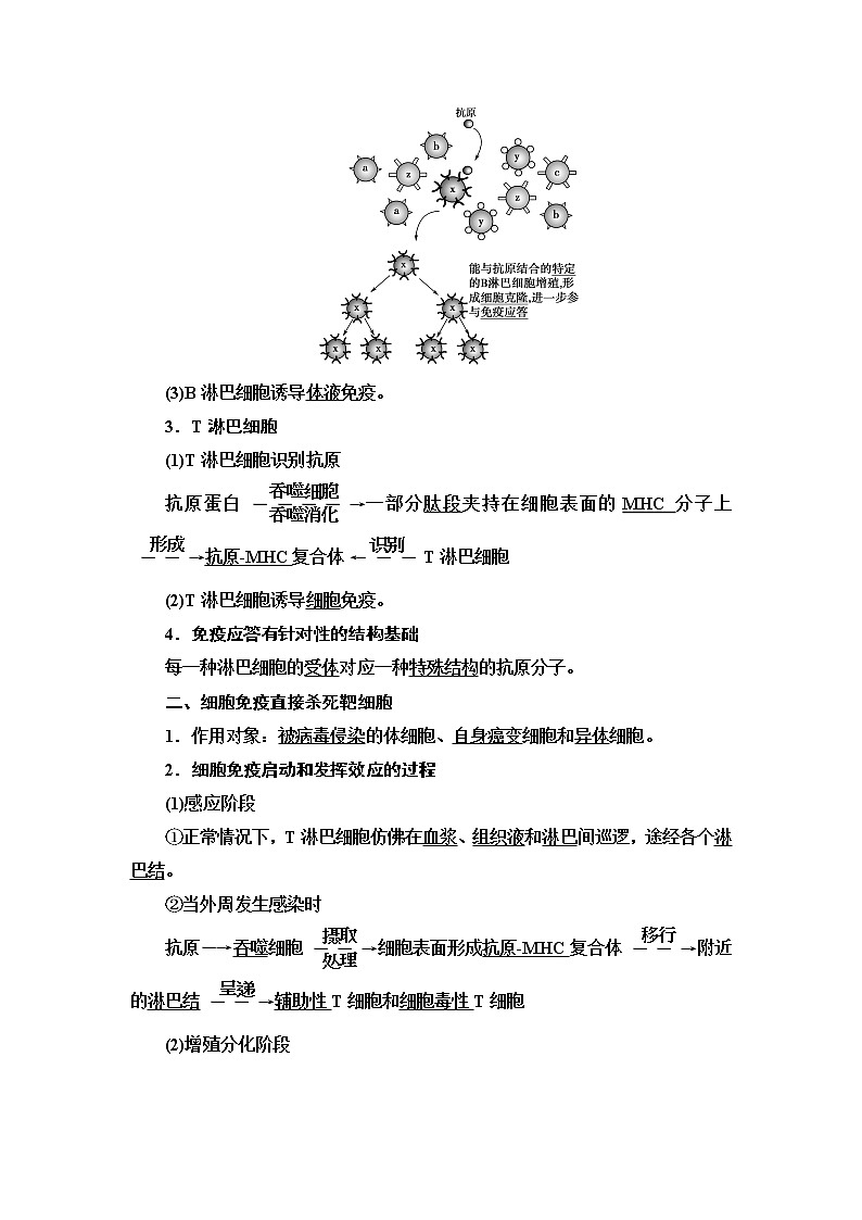 浙科版高中生物选择性必修1第4章第3节人体通过特异性免疫对抗病原体学案第2页
