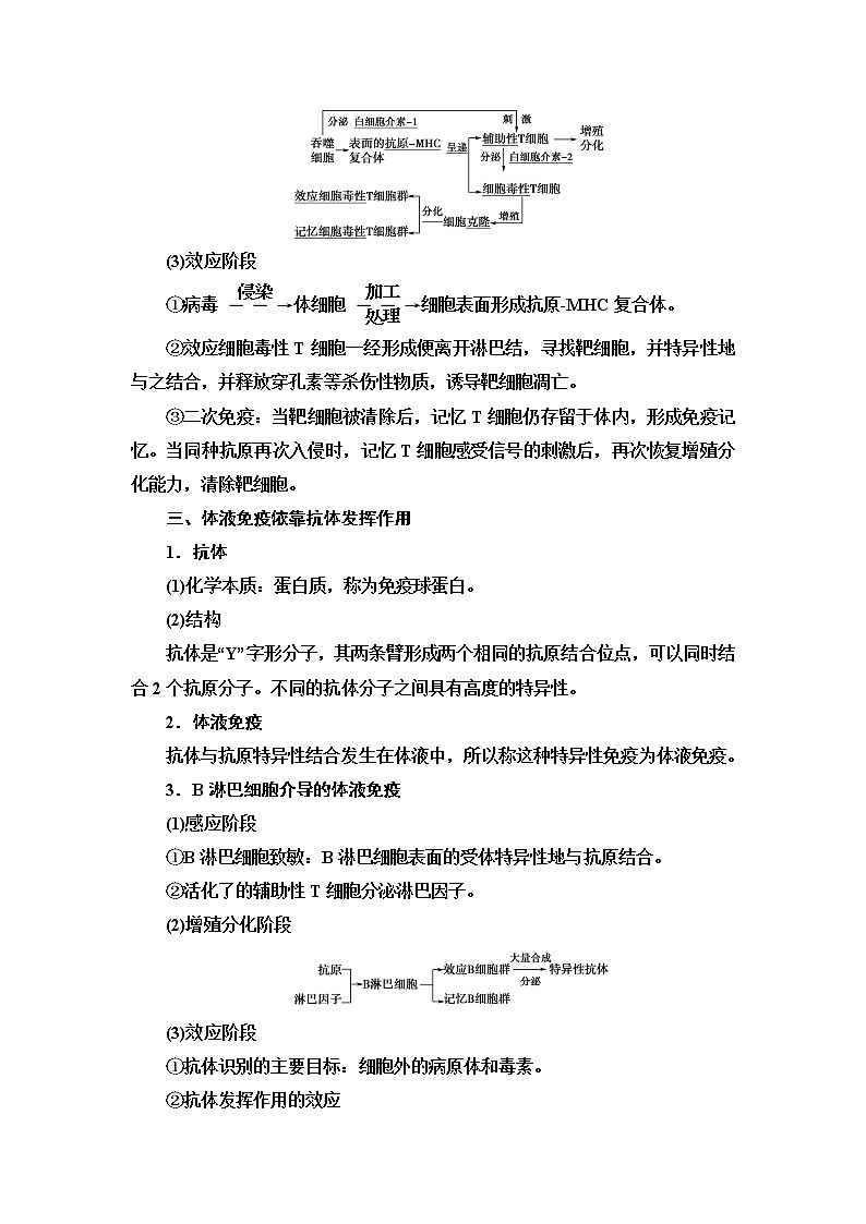 浙科版高中生物选择性必修1第4章第3节人体通过特异性免疫对抗病原体学案第3页