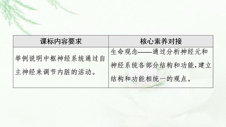 浙科版高中生物选择性必修1第2章第1节神经系统是神经调节的结构基础课件02