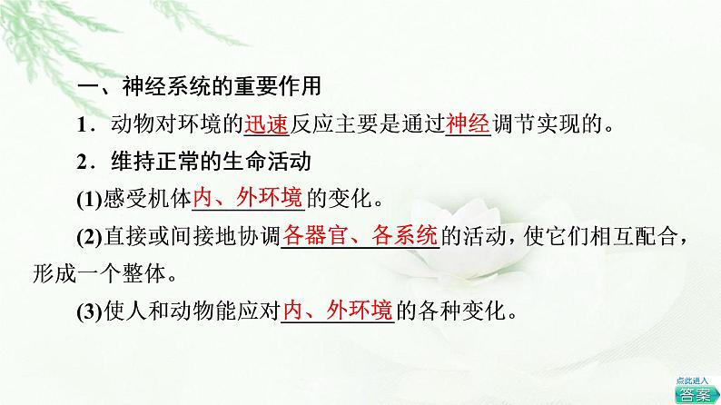 浙科版高中生物选择性必修1第2章第1节神经系统是神经调节的结构基础课件04