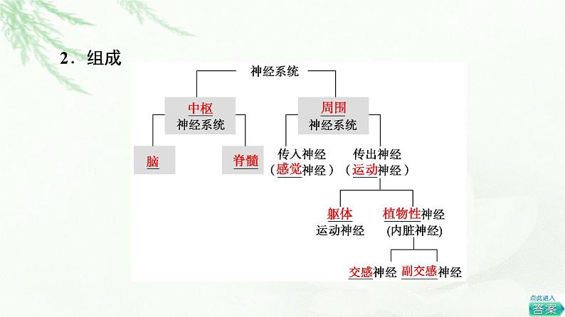 浙科版高中生物选择性必修1第2章第1节神经系统是神经调节的结构基础课件06