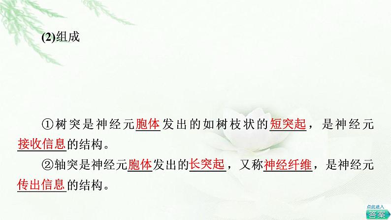 浙科版高中生物选择性必修1第2章第1节神经系统是神经调节的结构基础课件08