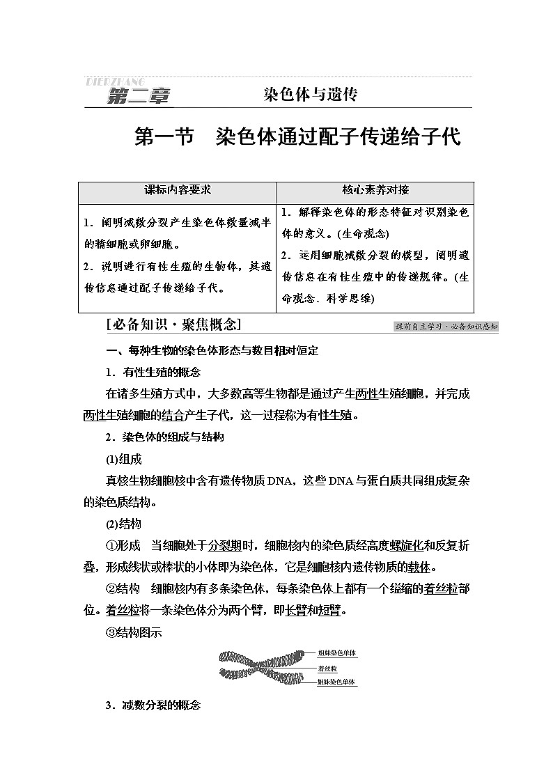 浙科版高中生物必修2遗传与进化第2章第1节染色体通过配子传递给子代学案01