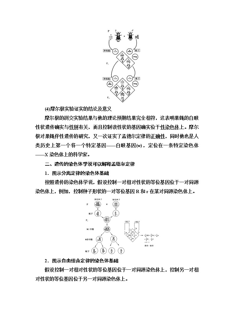 浙科版高中生物必修2遗传与进化第2章第2节基因伴随染色体传递学案03