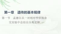 高中生物浙科版 (2019)必修2《遺傳與進(jìn)化》第一節(jié) 孟德爾從一對相對性狀的雜交實(shí)驗(yàn)中總結(jié)出分離定律圖文課件ppt