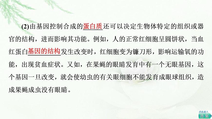 浙科版高中生物必修2遺傳與進(jìn)化第3章第4.5節(jié)第2課時(shí)基因控制生物性狀和中心法則、生物體存在表觀遺傳現(xiàn)象課件第7頁