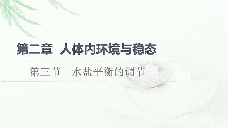 苏教版高中生物选择性必修1稳态与调节第2章第3节水盐平衡的调节课件第1页