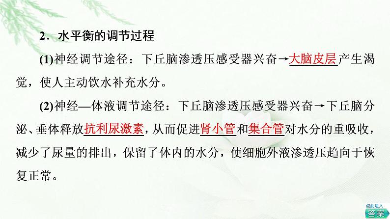 苏教版高中生物选择性必修1稳态与调节第2章第3节水盐平衡的调节课件第5页