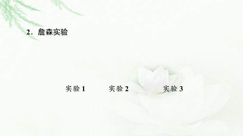 苏教版高中生物选择性必修1稳态与调节第4章第1节植物生长素课件第7页