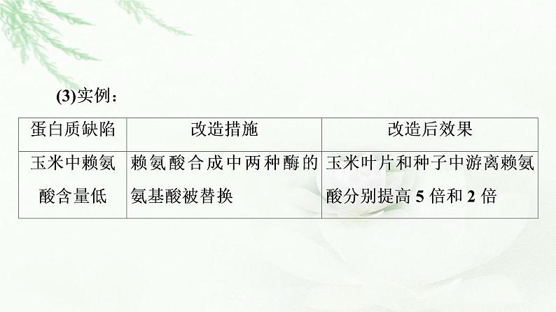 人教版高中生物选择性必修3生物技术与工程第3章第4节蛋白质工程的原理和应用课件07