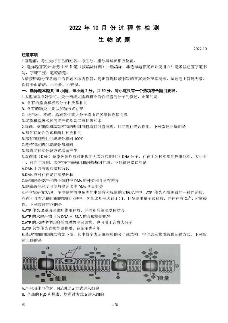 2023届山东省潍坊市(安丘、诸城、高密)三县市高三上学期10月联考生物试题 PDF版01