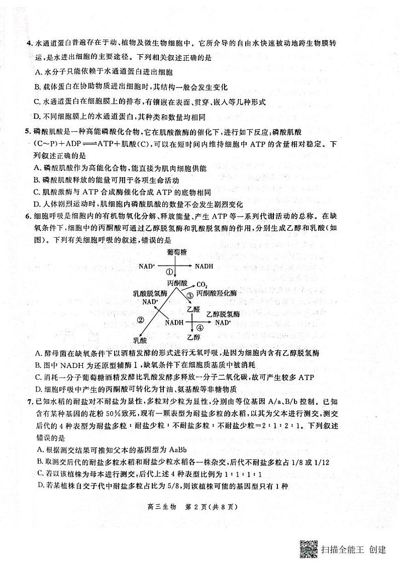2023届河北省高三上学期大数据应用调研联合测评试题 生物 PDF版02