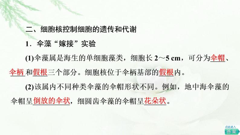 浙科版高中生物必修1第2章第4节细胞核是细胞生命活动的控制中心课件07