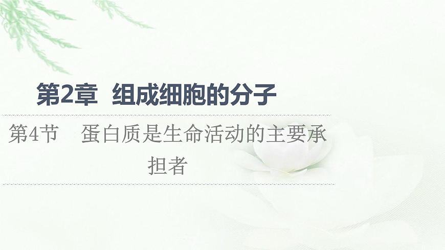 人教版高中生物必修1第2章第4節(jié)蛋白質(zhì)是生命活動的主要承擔者課件第1頁