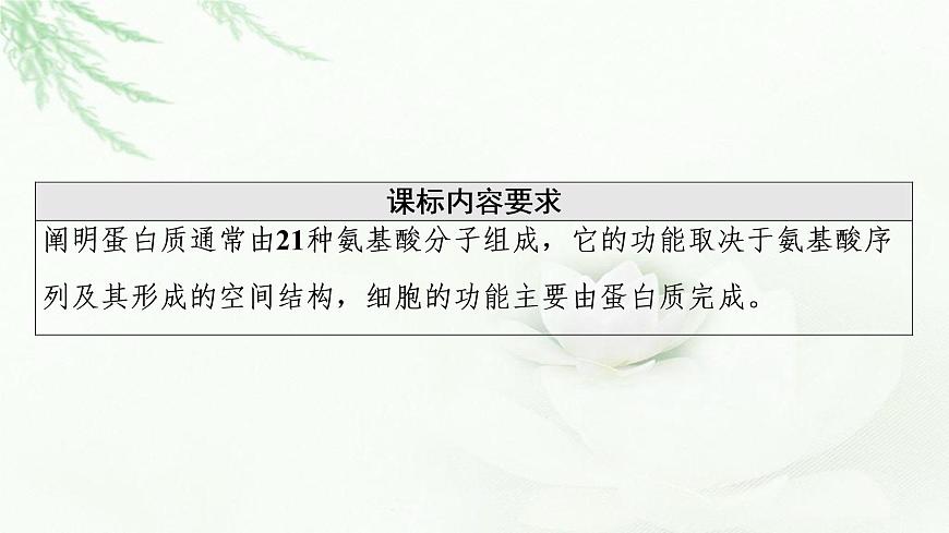人教版高中生物必修1第2章第4節(jié)蛋白質(zhì)是生命活動的主要承擔者課件第2頁