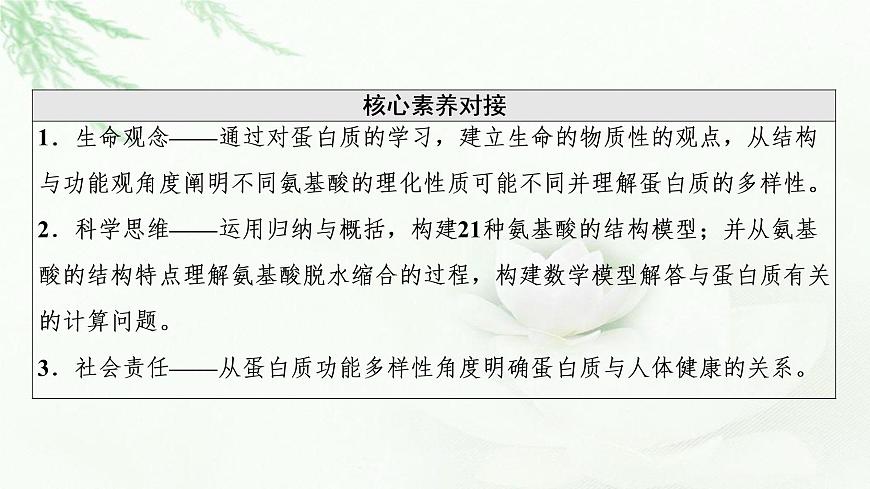 人教版高中生物必修1第2章第4節(jié)蛋白質(zhì)是生命活動的主要承擔者課件第3頁
