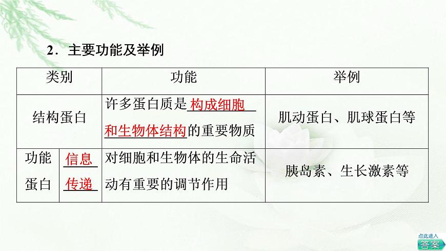 人教版高中生物必修1第2章第4節(jié)蛋白質(zhì)是生命活動的主要承擔者課件第6頁