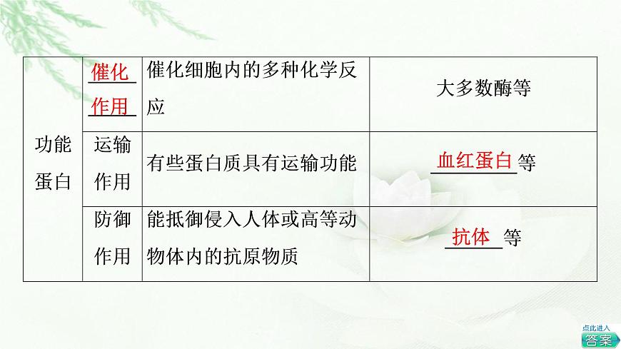 人教版高中生物必修1第2章第4節(jié)蛋白質(zhì)是生命活動的主要承擔者課件第7頁