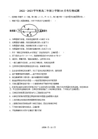 2023枣庄三中高二上学期10月阶段检测生物试题含答案