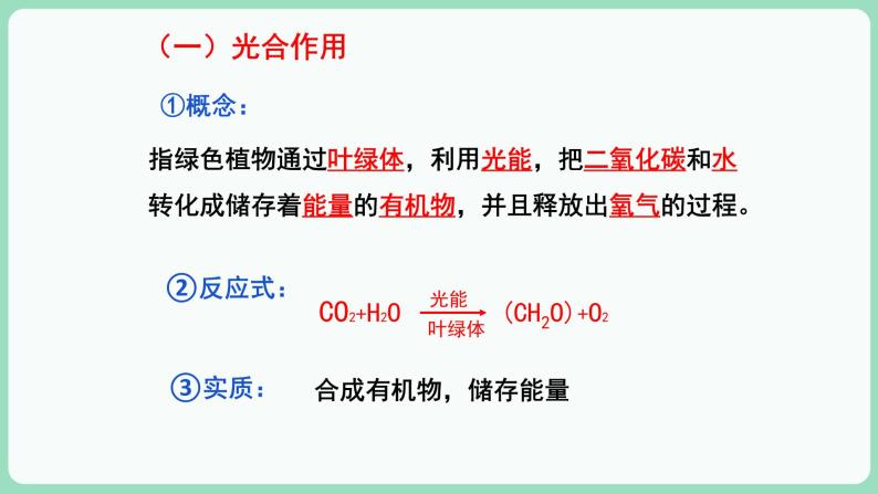 5.4.2 光合作用的原理和应用（课件+练习）-2022-2023学年高一上学期生物人教版（2019）必修102