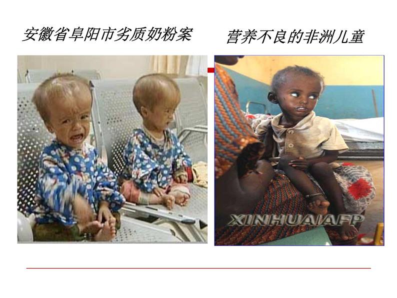 浙科版高中生物必修1第一章第二节 生物大分子以碳链为骨架——蛋白质 课件03