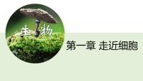 高中生物人教版 (2019)必修1《分子与细胞》第1节 细胞是生命活动的基本单位示范课ppt课件