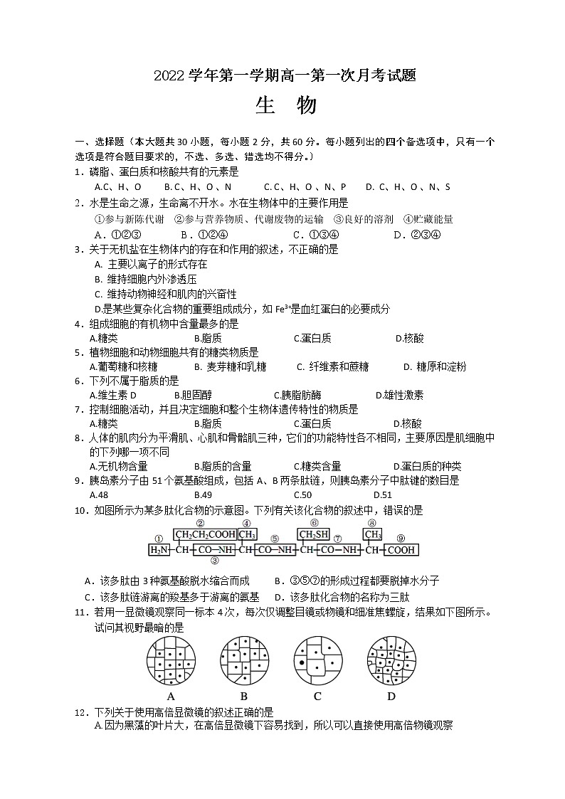 2023浙江省玉环市玉城中学高一上学期第一次月考试题生物含答案第1页