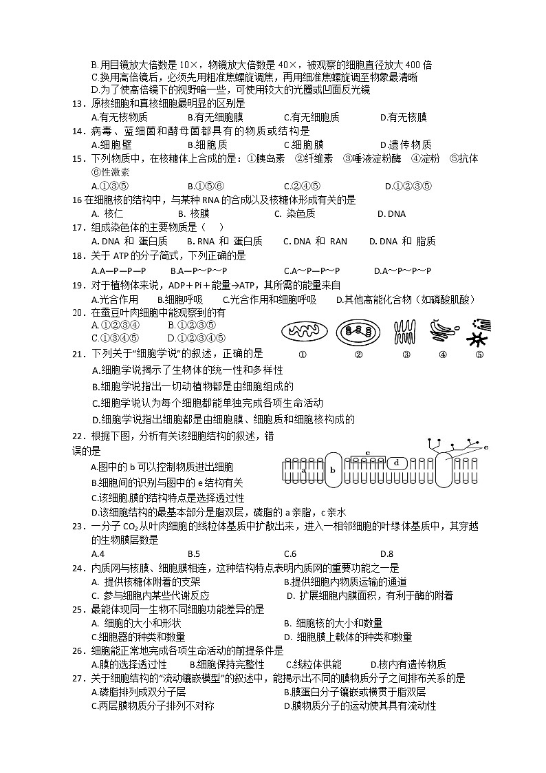 2023浙江省玉环市玉城中学高一上学期第一次月考试题生物含答案第2页