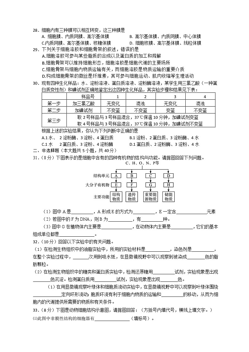 2023浙江省玉环市玉城中学高一上学期第一次月考试题生物含答案第3页