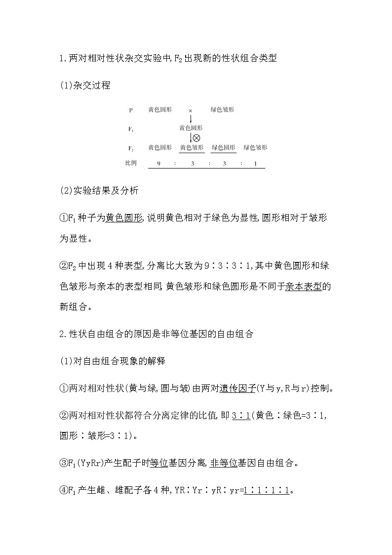 第二节 孟德尔从两对相对性状的杂交实验中总结出自由组合定律第2页