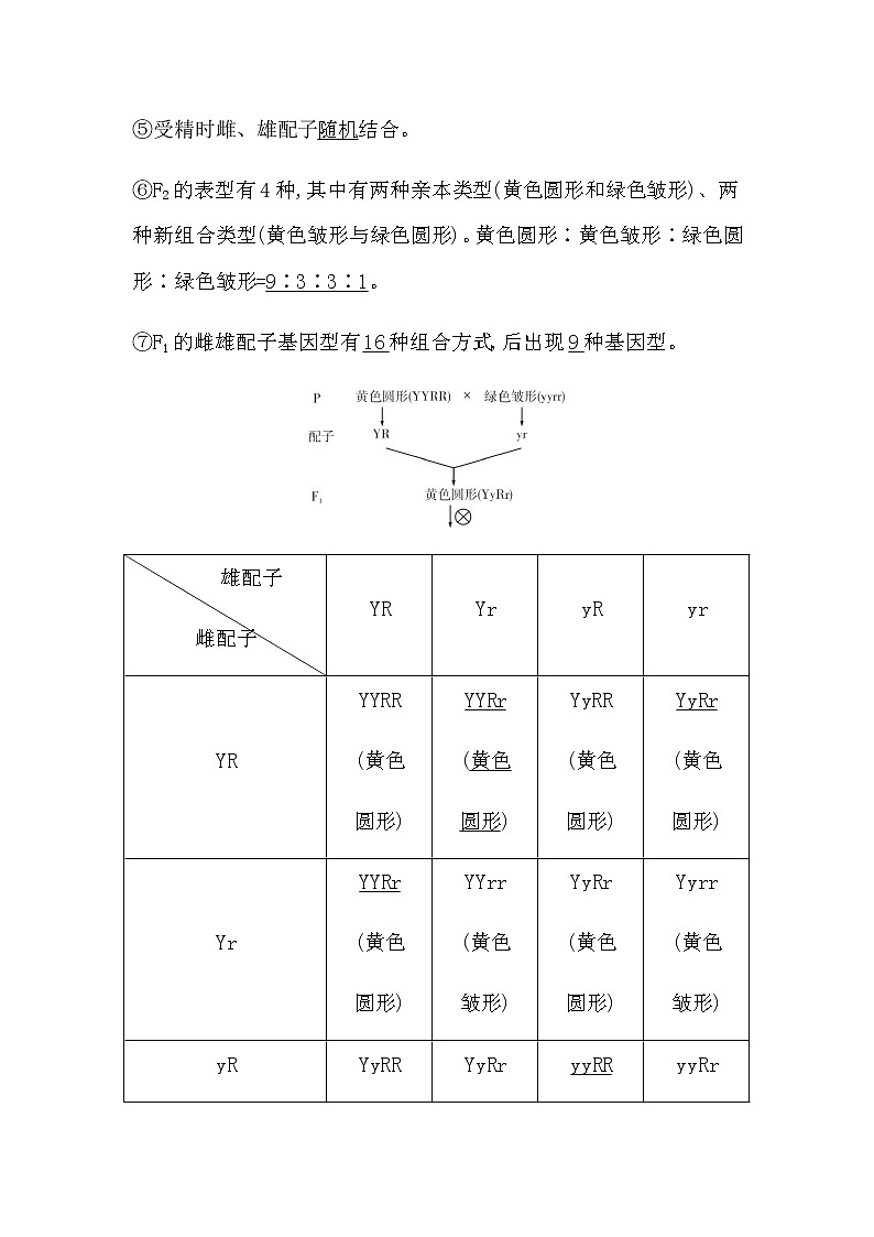 第二节 孟德尔从两对相对性状的杂交实验中总结出自由组合定律第3页