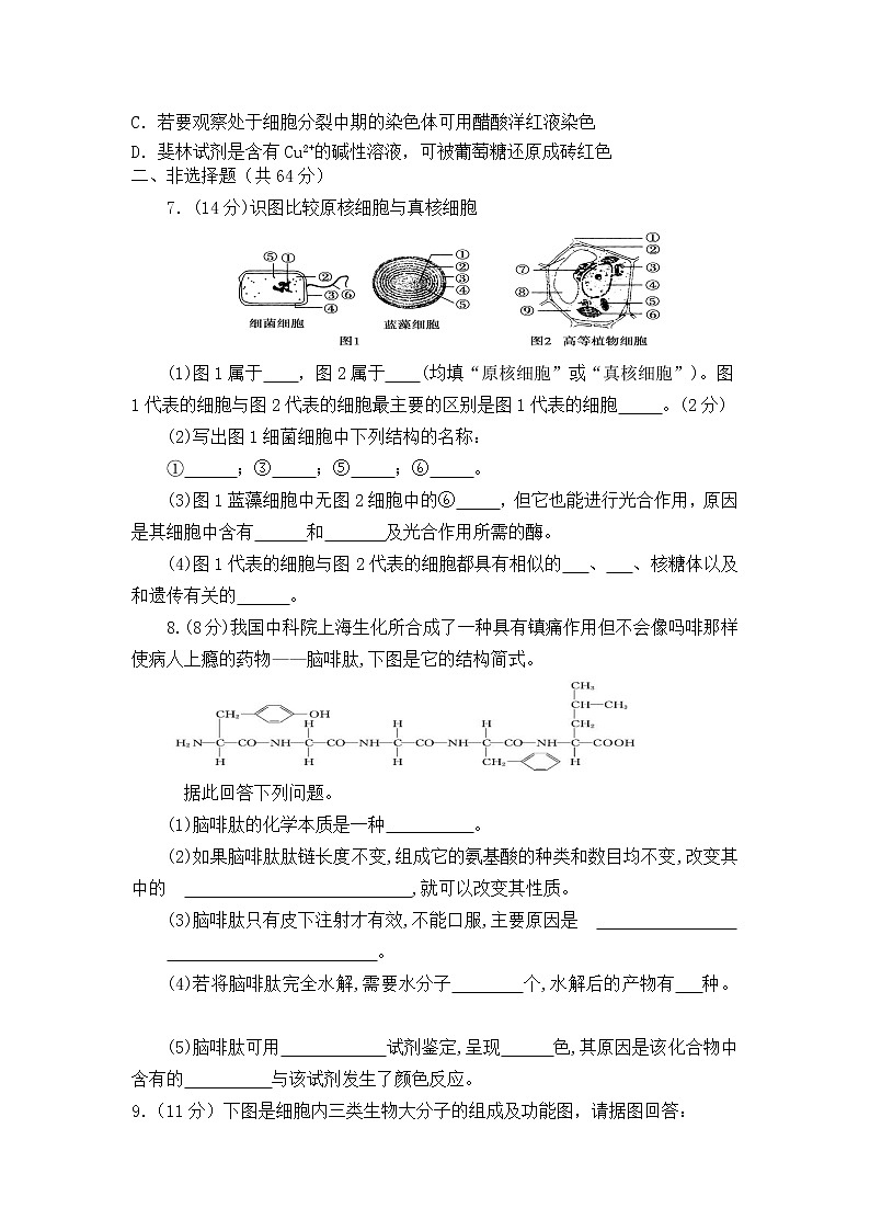 陕西省西安市鄠邑区第二中学2022-2023学年高三上学期第一次月考生物试题(含答案)02