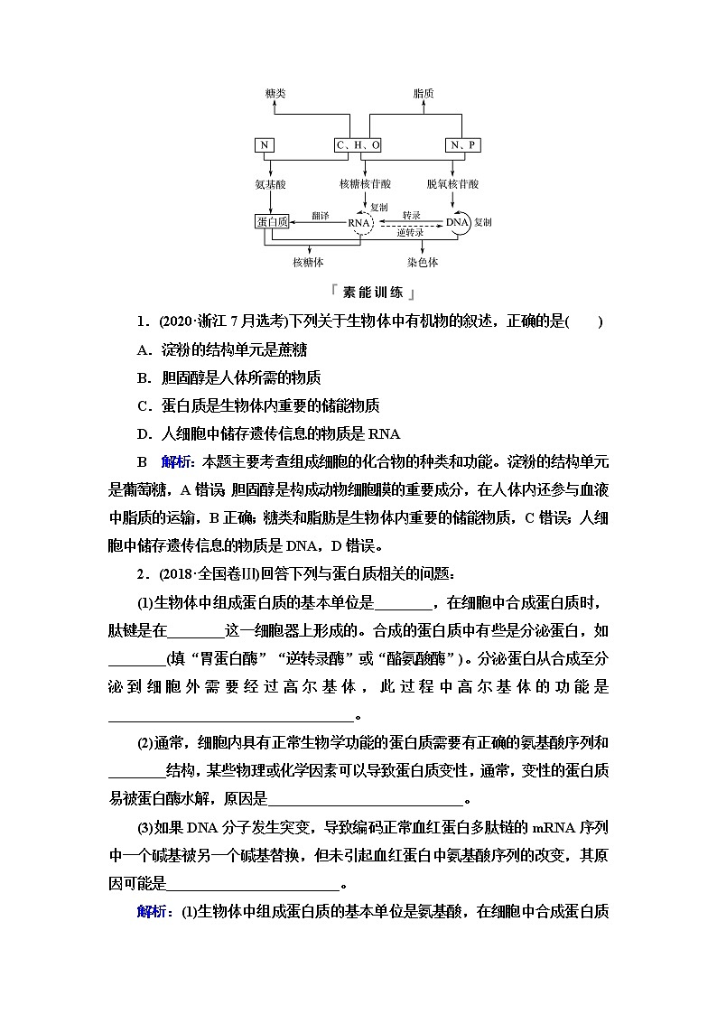 人教版高考生物一轮总复习必修1第2单元高频考点进阶课1细胞的分子组成与结构学案03