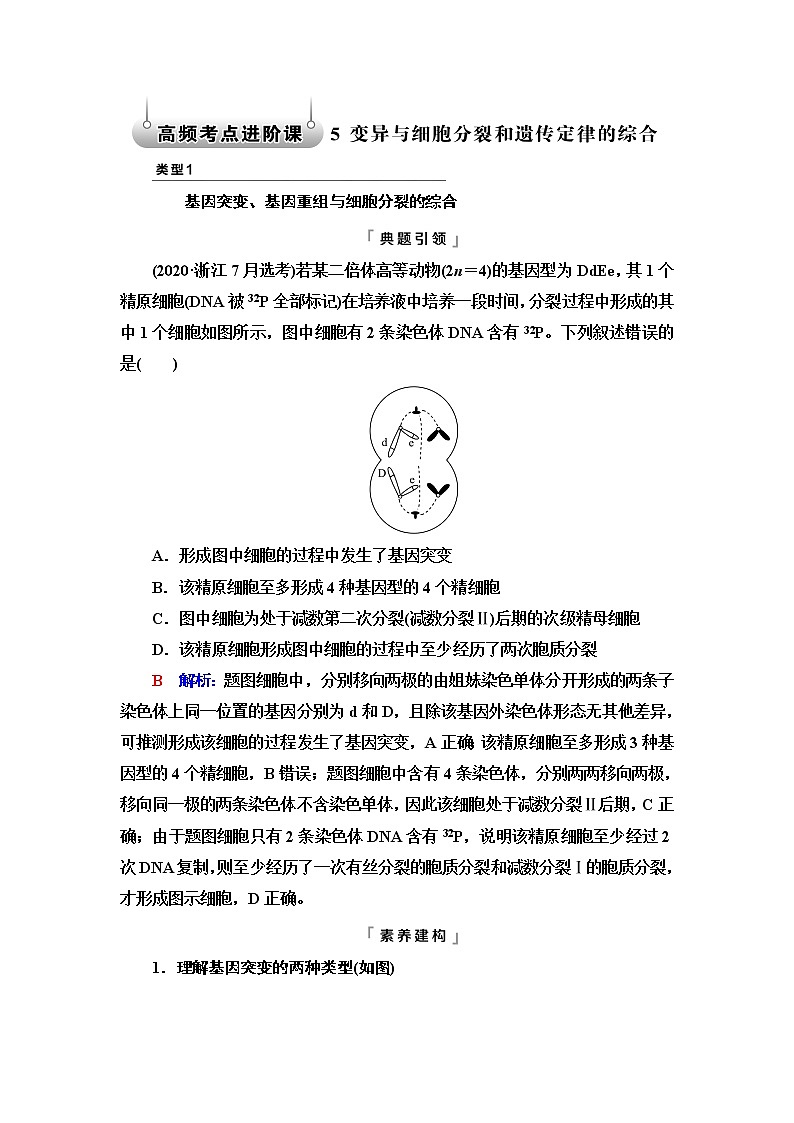 人教版高考生物一轮总复习必修2第7单元高频考点进阶课5变异与细胞分裂和遗传定律的综合学案第1页