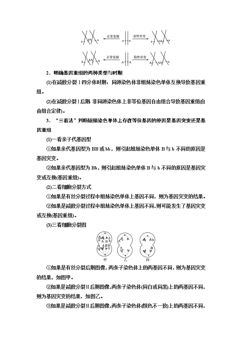 人教版高考生物一轮总复习必修2第7单元高频考点进阶课5变异与细胞分裂和遗传定律的综合学案第2页