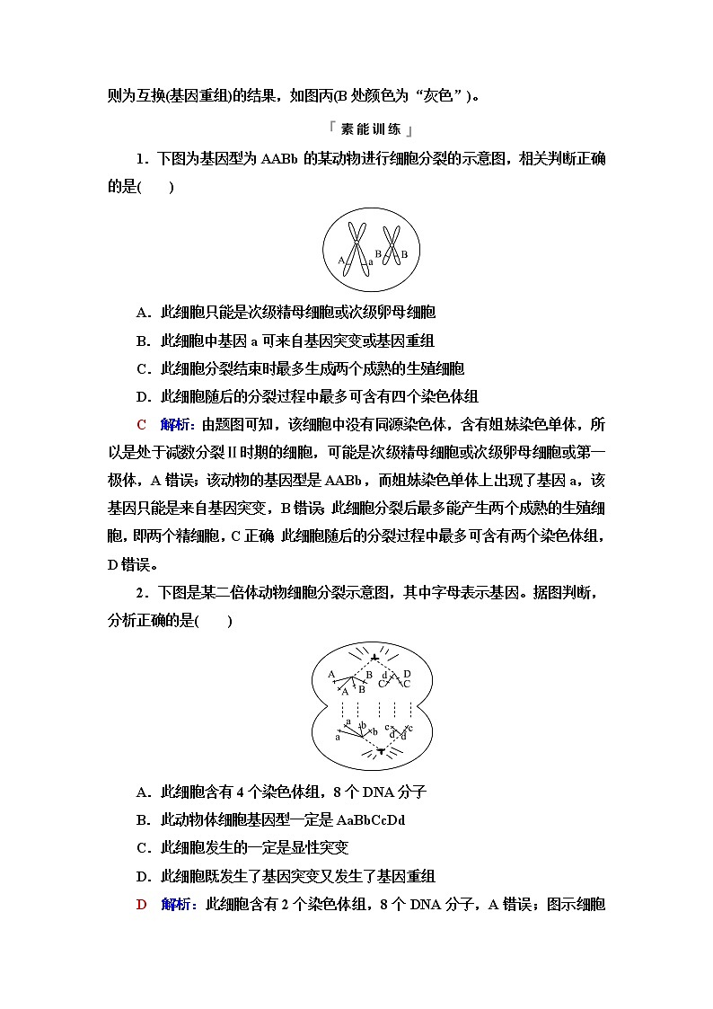 人教版高考生物一轮总复习必修2第7单元高频考点进阶课5变异与细胞分裂和遗传定律的综合学案第3页