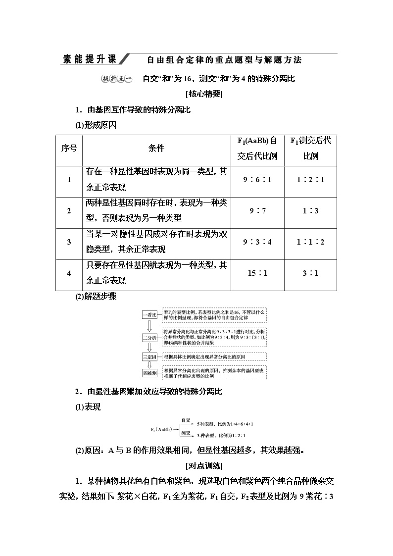 高中生物浙科版 (2019)必修2《遗传与进化》第二节 孟德尔从两对相对性状的杂交实验中总结出自由组合定律导学案