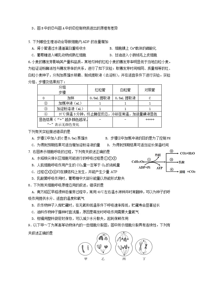 重庆市万州二中2022-2023学年高二生物上学期开学试卷(Word版附答案)第2页