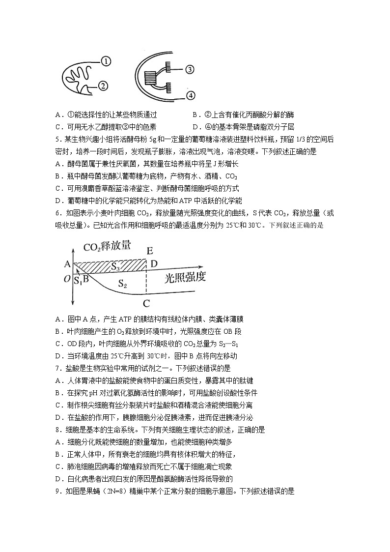安徽省皖江名校联盟2022-2023学年高三生物上学期开学考试试卷(Word版附解析)02