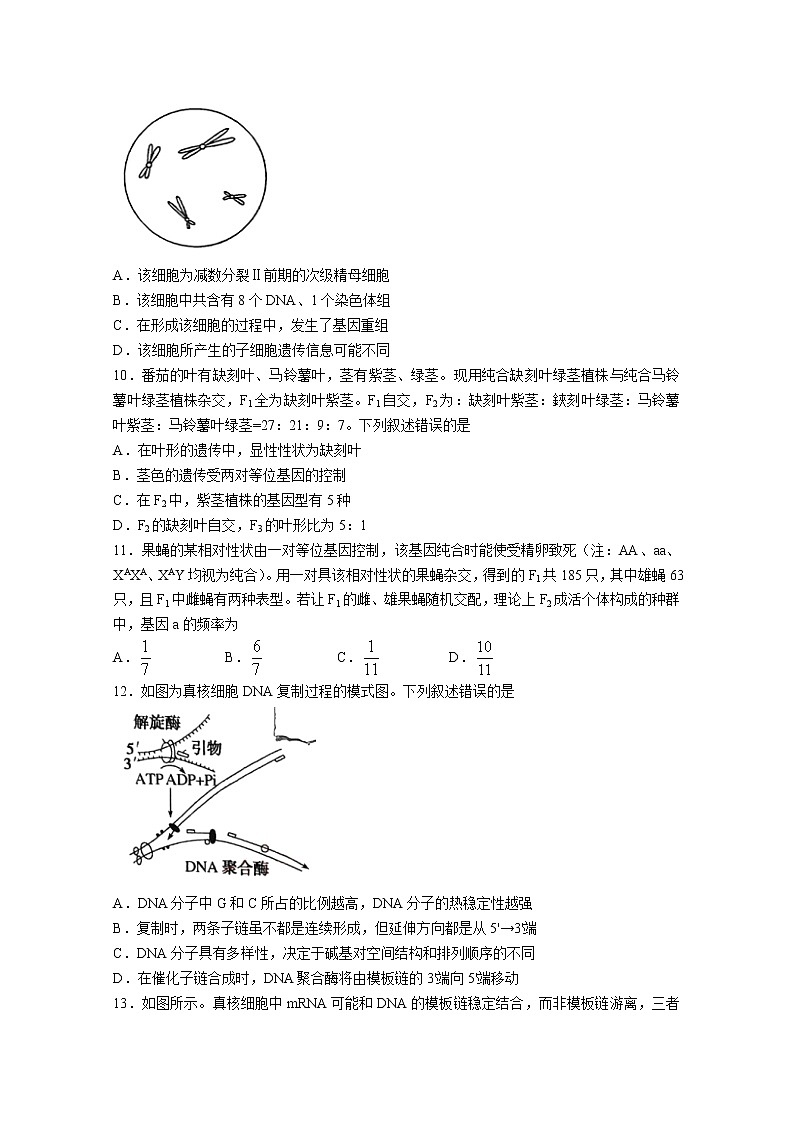 安徽省皖江名校联盟2022-2023学年高三生物上学期开学考试试卷(Word版附解析)03