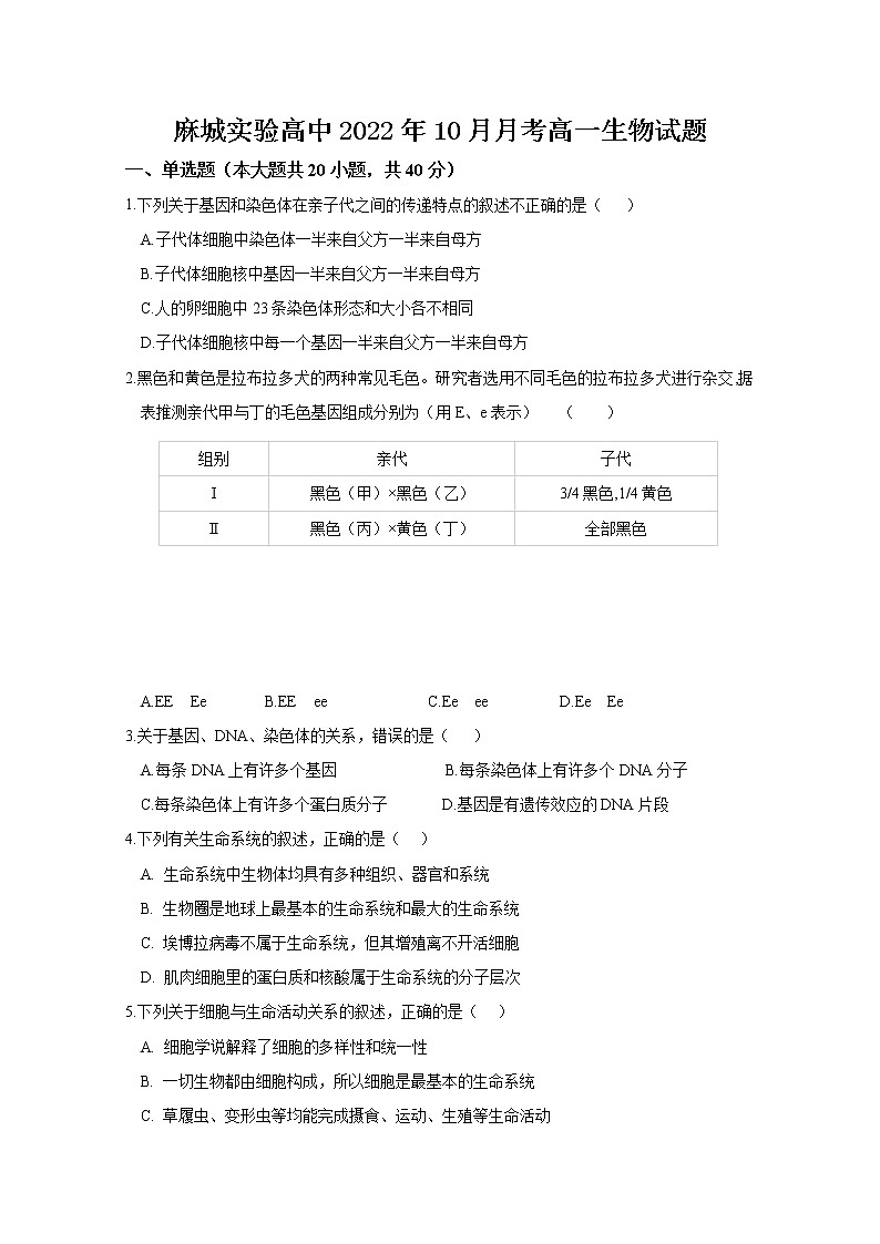 湖北省黄冈市麻城市实验高级中学2022-2023学年高一生物上学期10月月考试题(Word版附答案)第1页