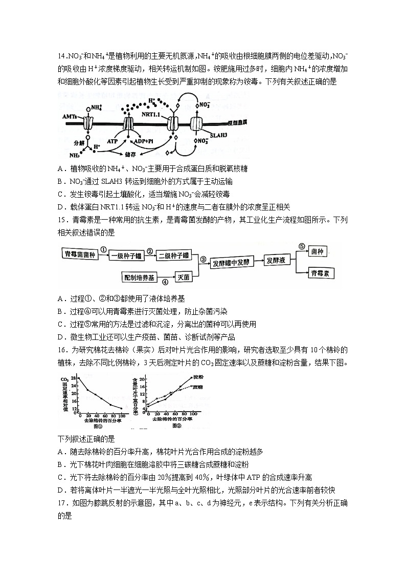 浙江省浙南名校联盟2022-2023学年高三生物上学期第一次联考试题(Word版附答案)第3页