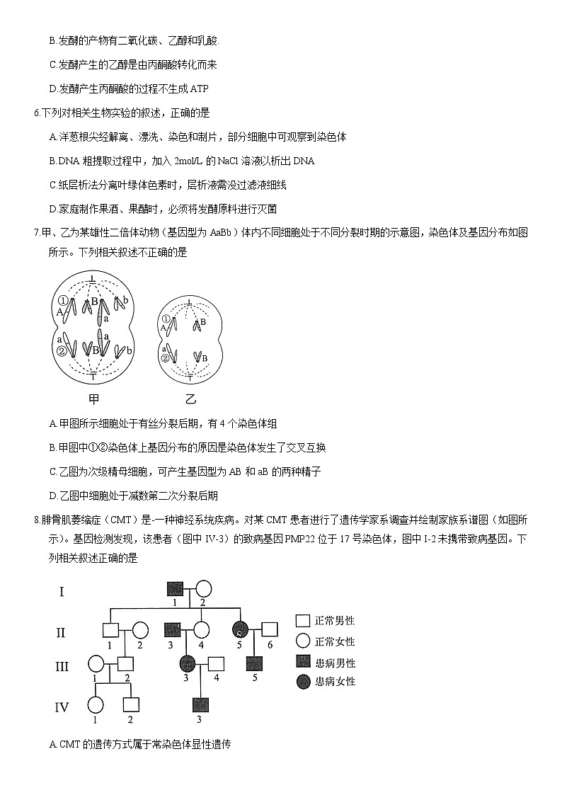 2021北京海淀区高三下学期4月一模考试生物试题含答案02